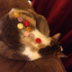 Image for article titled Here Are The Best Games Sticking It To Candy Crush So Far